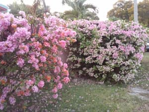 thumbnail: General view