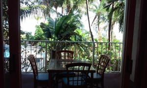 thumbnail: General view