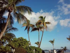 thumbnail: General view