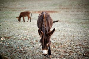 thumbnail: Children's activities