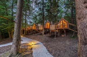 thumbnail: Interior
