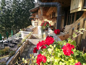 thumbnail: View from room