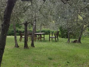 thumbnail: Garden view