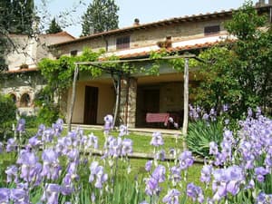 thumbnail: Garden view