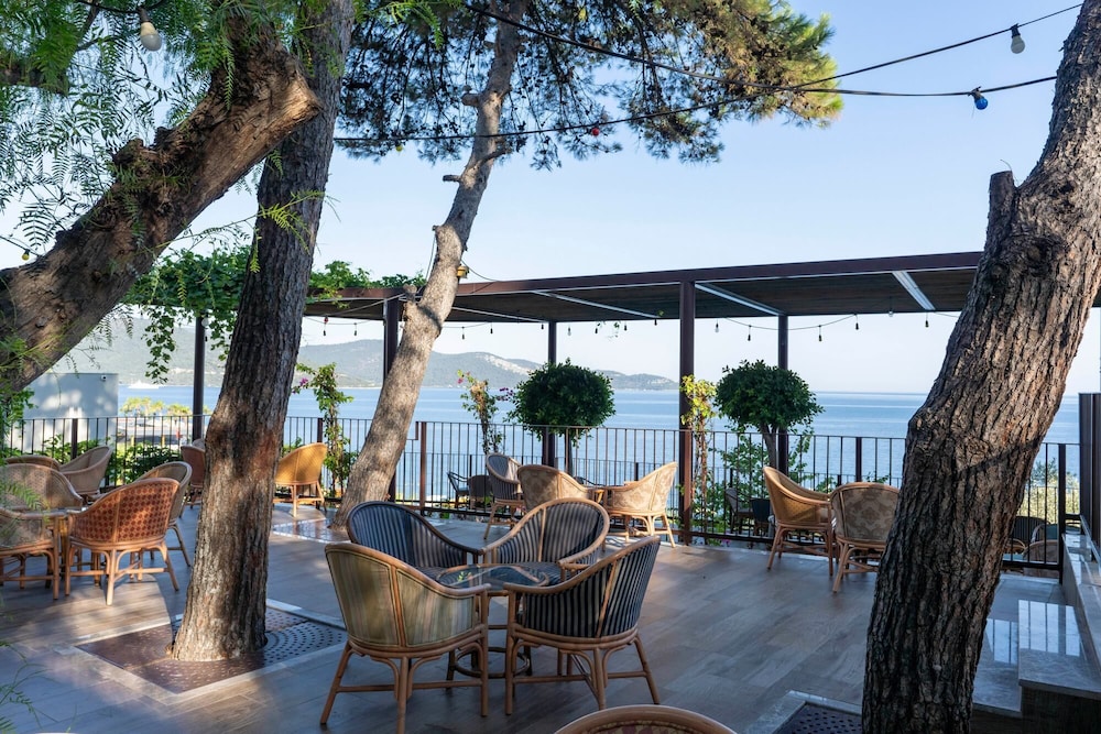 Property map