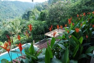 thumbnail: General view