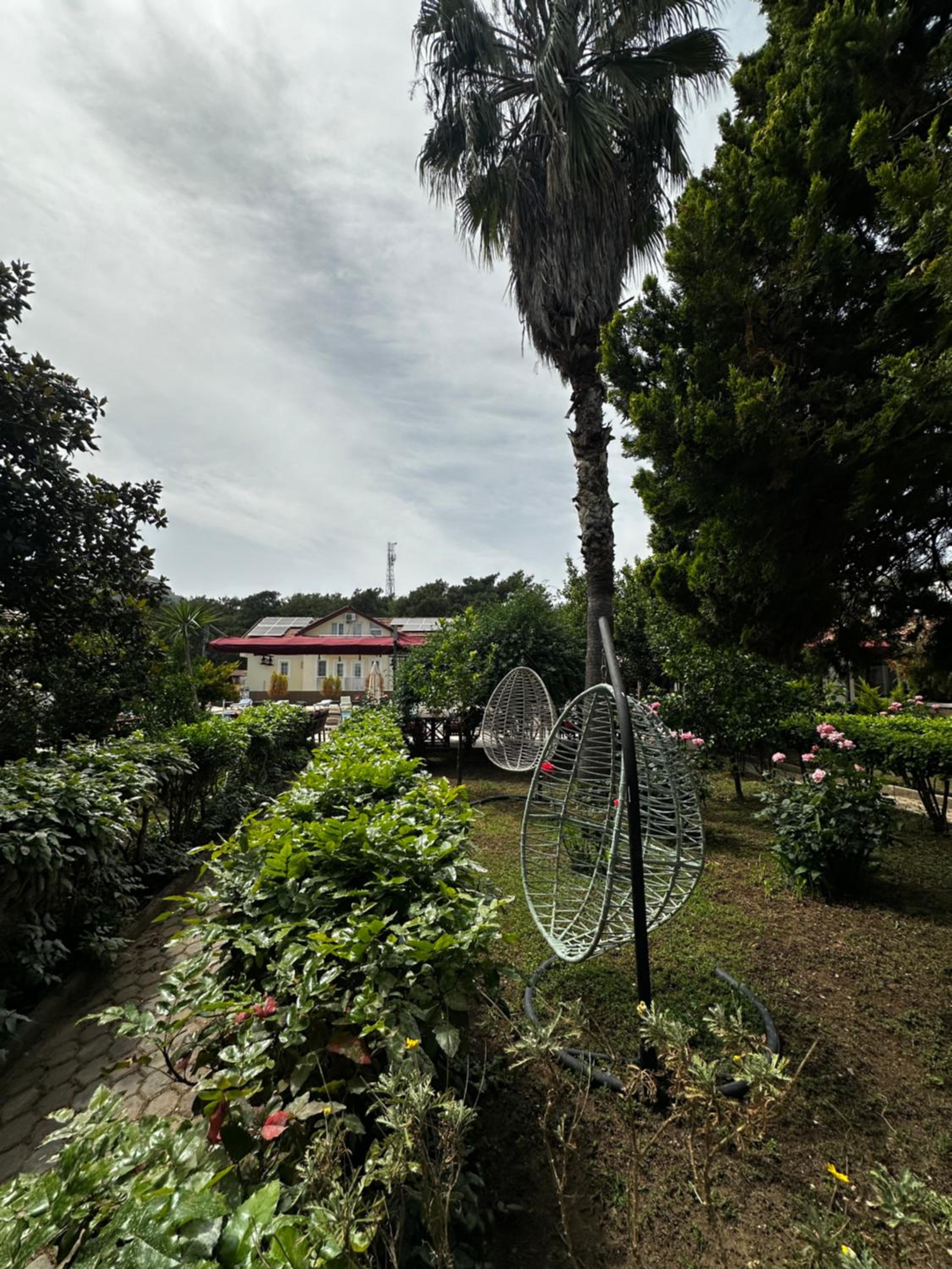 Surroundings