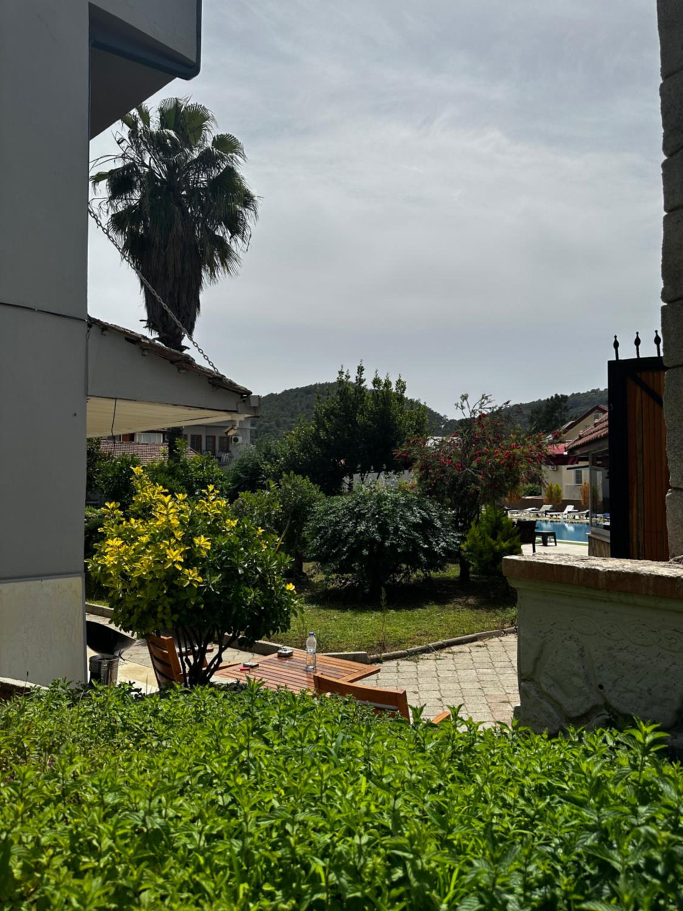 Surroundings
