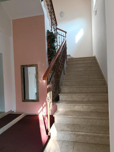 388048125.jpg