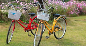 thumbnail: Bicycling