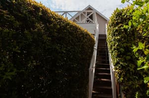 thumbnail: Garden