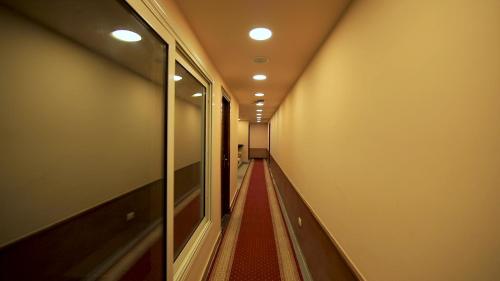 309513094.jpg
