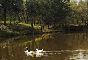 thumbnail: General view