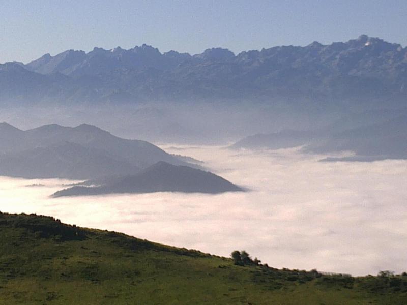 General view