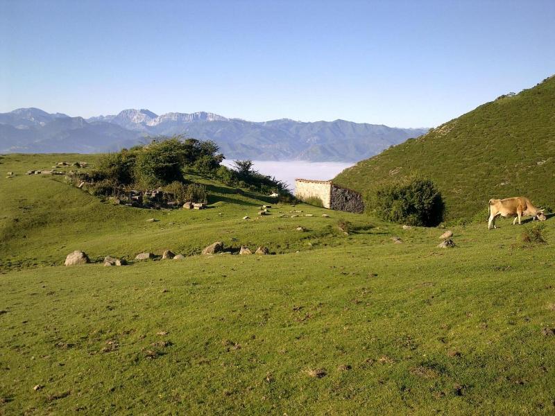 General view