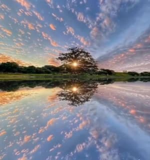 thumbnail: Lake view