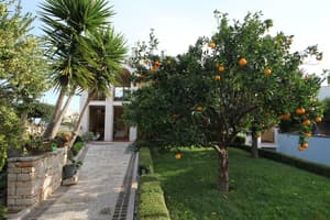 thumbnail: Garden