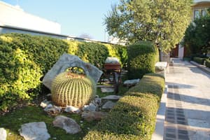 thumbnail: Garden