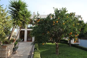 thumbnail: Garden
