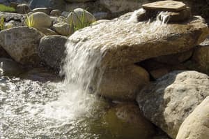 thumbnail: Garden