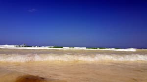 thumbnail: Beach