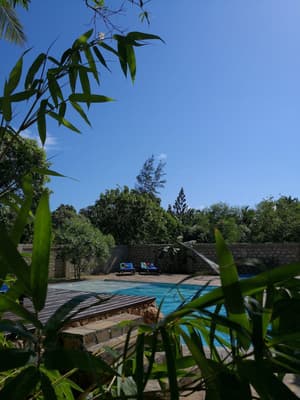 thumbnail: Outdoor pool
