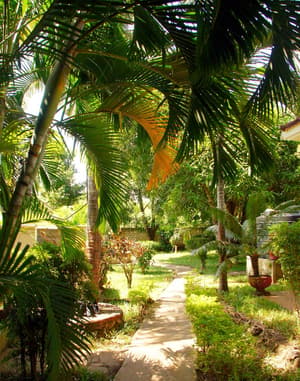 thumbnail: Garden view