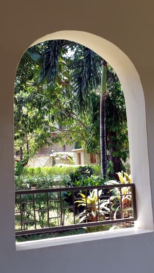 thumbnail: Terrace/patio