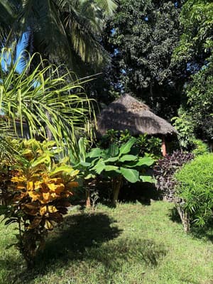 thumbnail: View from property