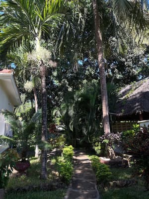thumbnail: View from property