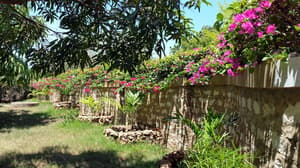 thumbnail: View from property