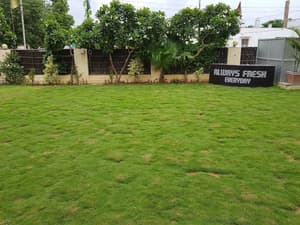 thumbnail: Property grounds