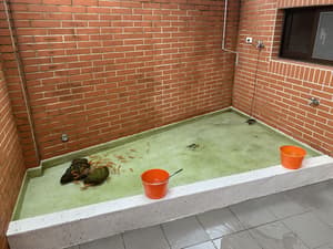 thumbnail: Children's area