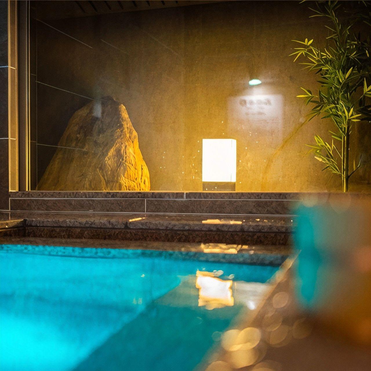 Swimming pool-spa