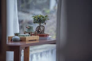 thumbnail: View from room