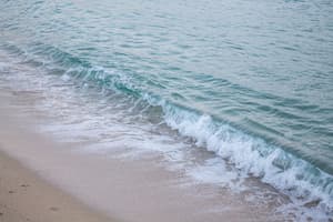 thumbnail: Beach