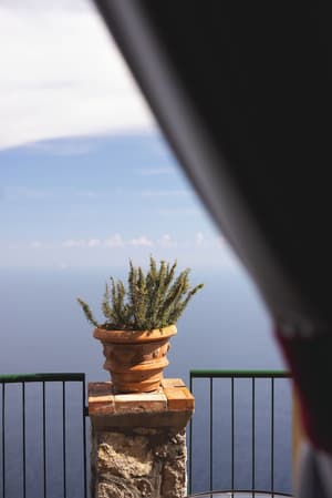 thumbnail: View from property