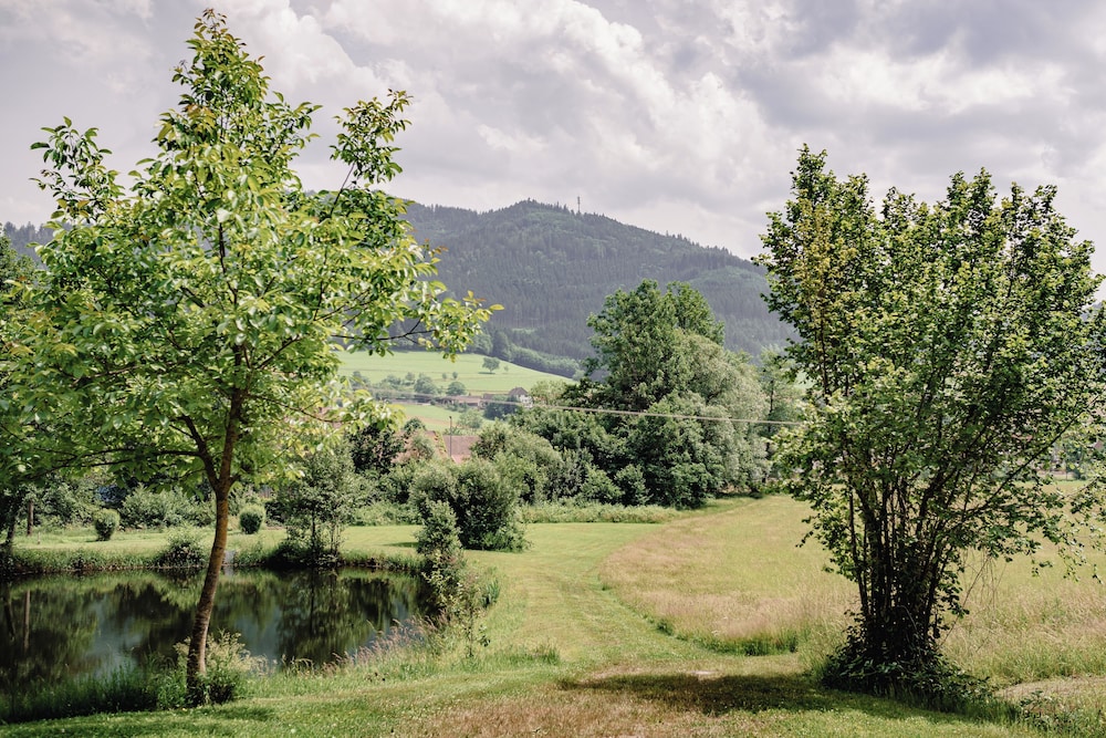 Land view from property