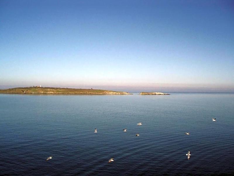 General view