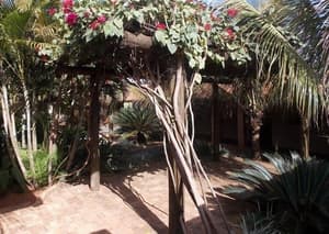 thumbnail: Garden