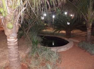 thumbnail: Garden