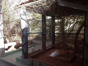 thumbnail: Garden