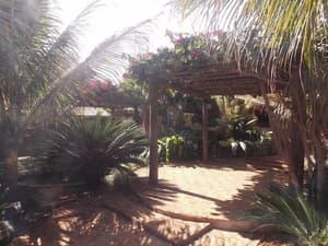 thumbnail: Garden