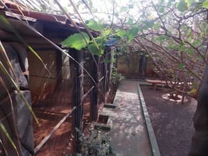 thumbnail: Garden