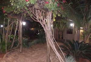 thumbnail: Garden