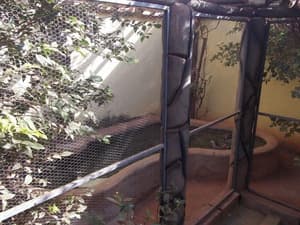 thumbnail: Garden