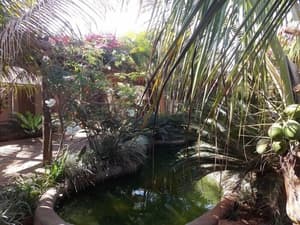 thumbnail: Garden