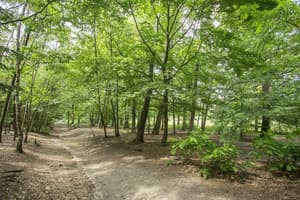 thumbnail: Children's play area - outdoor