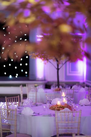 thumbnail: Indoor wedding