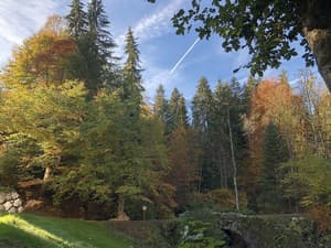 thumbnail: Garden